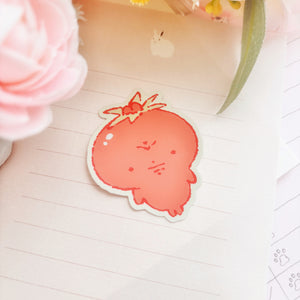 Holographic Vinyl Stickers